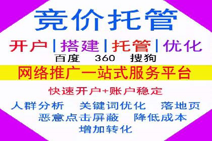 成功SEM代理案例：精准投放的策略